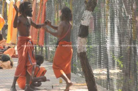 thiruvannamali fight